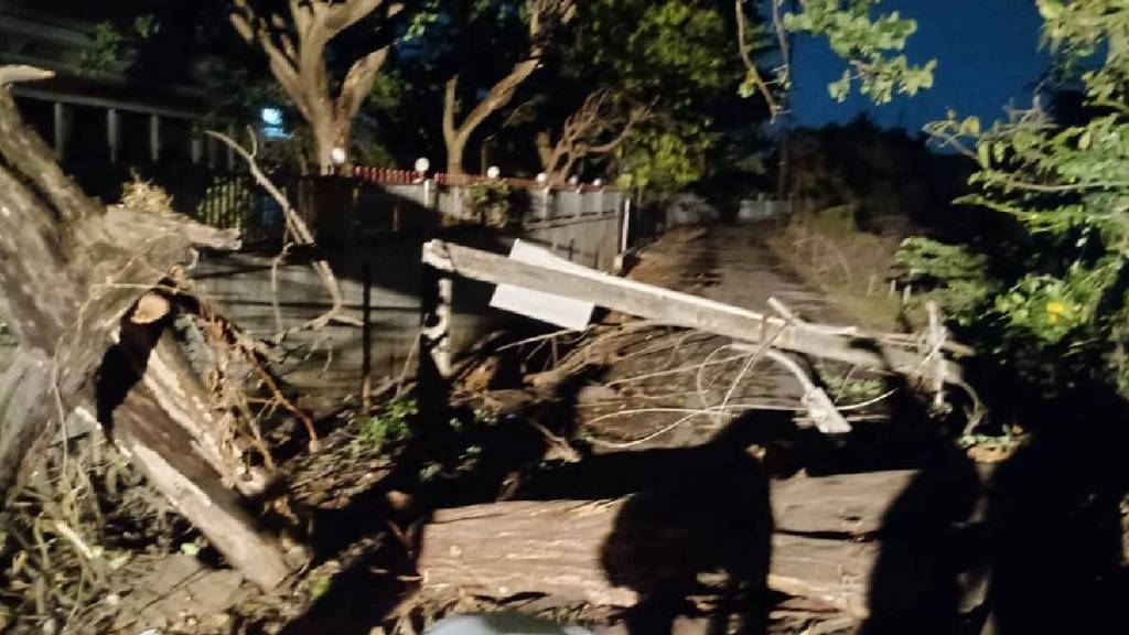 40 electricity poles fell due to storms in Vasai Virar power supply is being restored after repairs