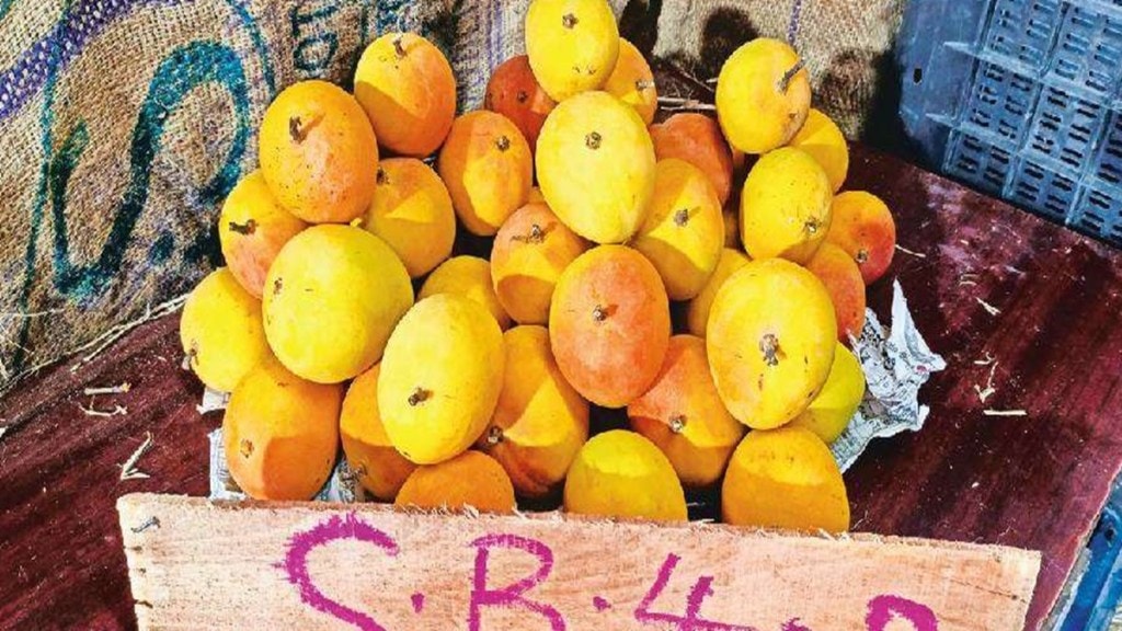 Karnataka Hapus, Konkan Hapus ,