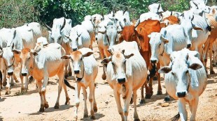 Job Opportunity, Recruitment ,