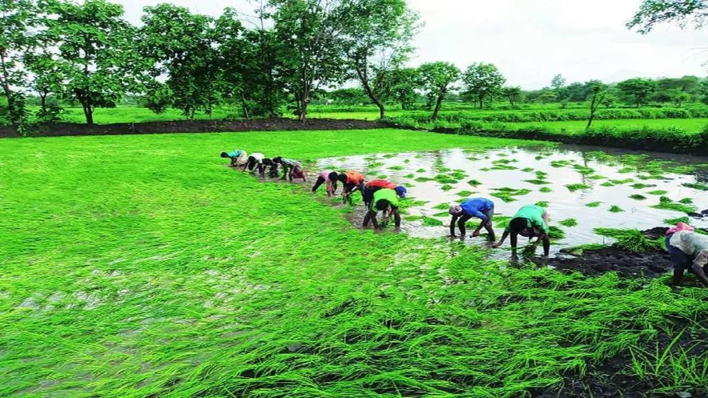 A total of nine flying squads have been established at the district and tehsil levels through the Agriculture Department
