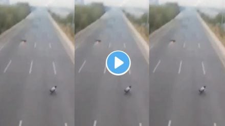Viral Bike Stunt