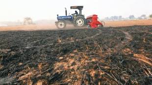 Agriculture Graduates job training government offices