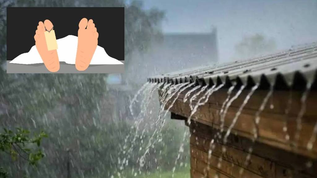 An elderly woman died after a barn in a field collapsed on her during rains in Shirapur village of Mohol tehsil