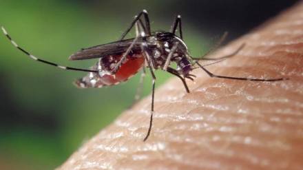 Monsoon raises dengue risk civic body caps dengue test charges at rs 600 in private hospitals