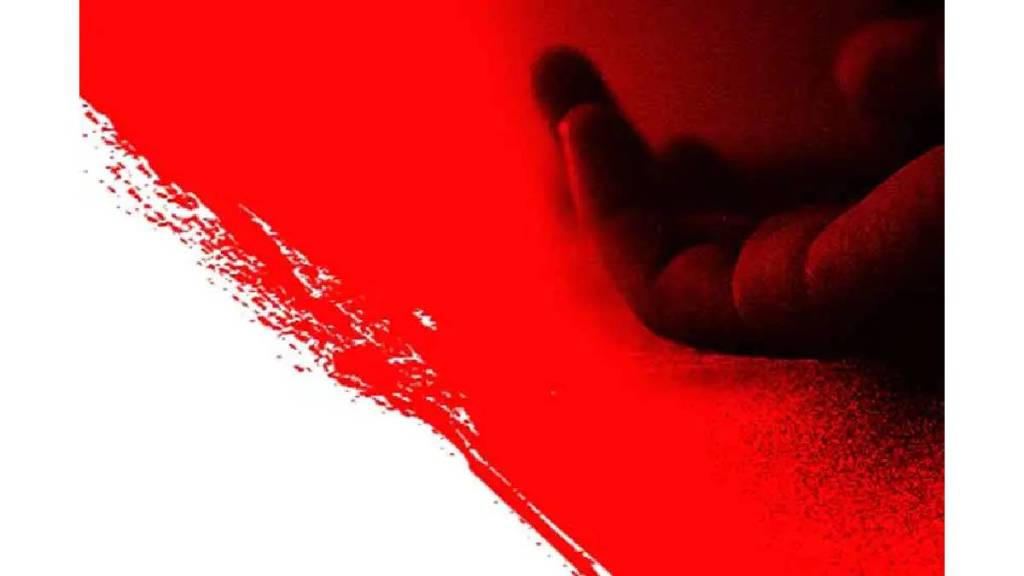 Elder brother shot dead with a gun in Dhapewada under Saoner police station limits Elder brother shot dead with a gun in Dhapewada under Saoner police station limits