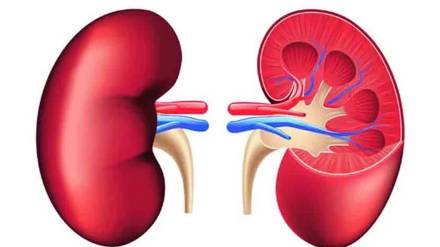 He successfully underwent a kidney transplant surgery and the treatment was made possible at a very low cost with the help of government schemes and social organizations