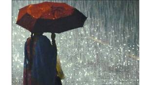 Heavy rains lashed various parts of Sangli district