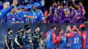 IPL 2025 Playoff Qualification Scenario Changed After SRH Eliminated Updated Status For MI DC GT LSG KKR RCB PBKS