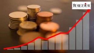 Review of developmental aspects of the Indian economy