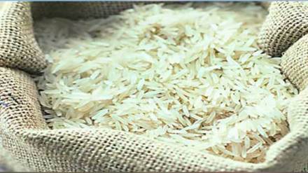 Deputy Chief Minister Ajit Pawar instructions to Agriculture Department to make proposal regarding Indrayani rice