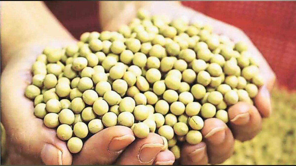 Maharashtra State Government has launched a digital portal named Mahabeej Saathi Maharashtra State Government has launched a digital portal named Mahabeej Saathi