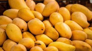 Mango health benefits