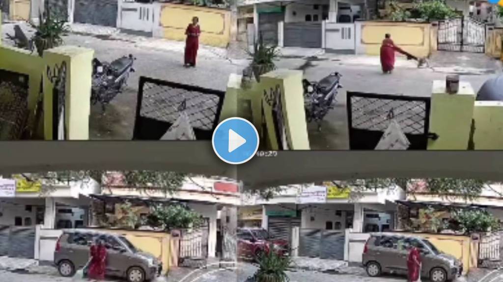 Monkeys attack elderly woman