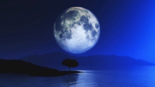 Moon Zodiac Signs
