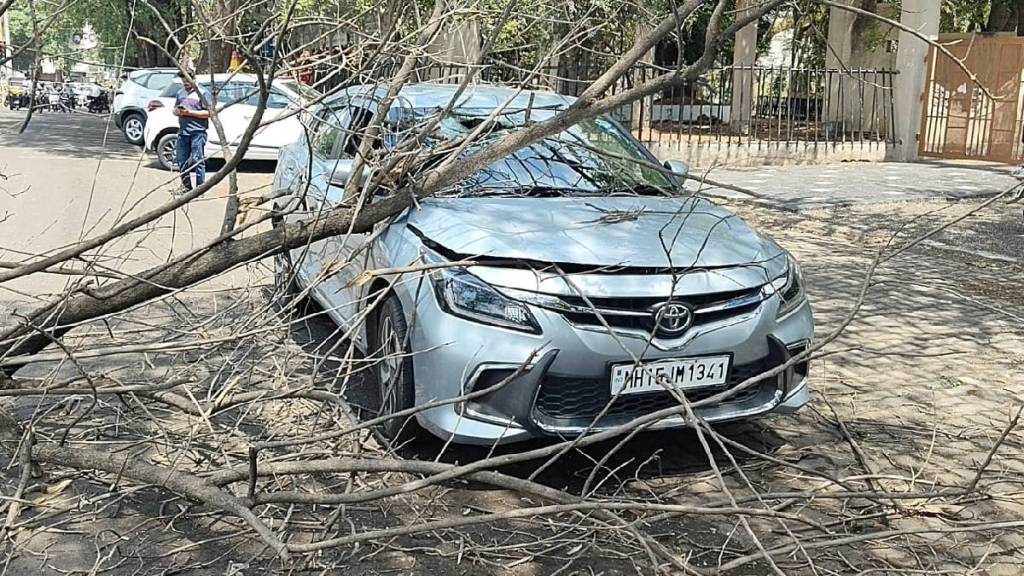 Nashik Heavy rain accompanied by gale force winds for the third consecutive day uprooted trees in many areas