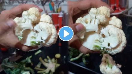 Unhygienic flower vegetables video