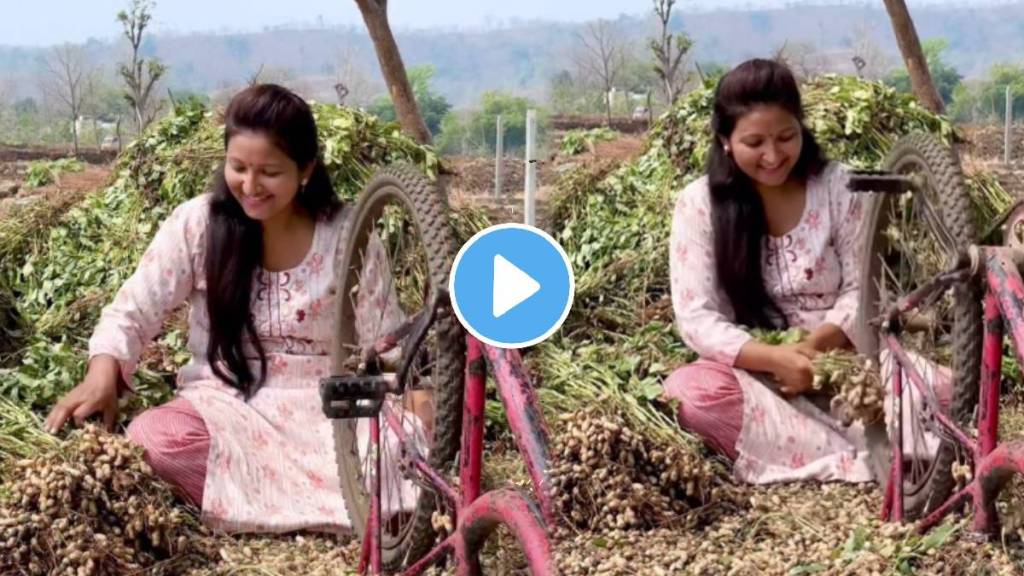 viral bhuimug seeds farming jugaad video viral farmer jugad video goes ...