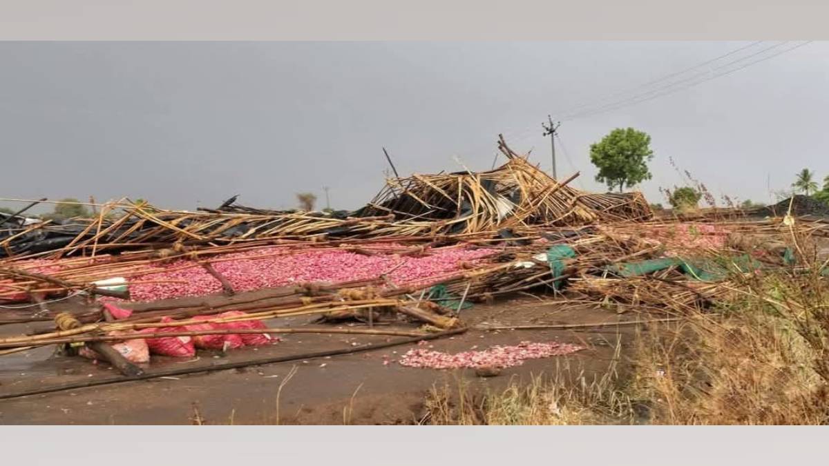nashik nine days of rain hail and wind damaged 4240 hectares of crops ...