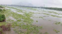 नद्यांच्या पुनरुज्जीवनासाठी प्राधिकरणाची स्थापना