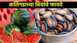 Benefits Of Watermelon Seeds From Digestion To Brain Health: 5 Benefits Of Watermelon Seeds You Need To Know