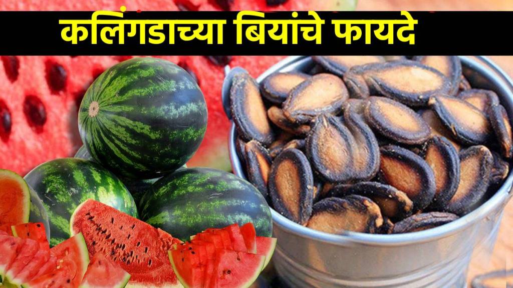 Benefits Of Watermelon Seeds From Digestion To Brain Health: 5 Benefits Of Watermelon Seeds You Need To Know Benefits Of Watermelon Seeds From Digestion To Brain Health: 5 Benefits Of Watermelon Seeds You Need To Know