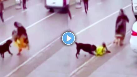 Woman threw her daughter on the road