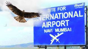 navi mumbai airport meat selling