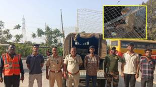 ambernath monkey caged