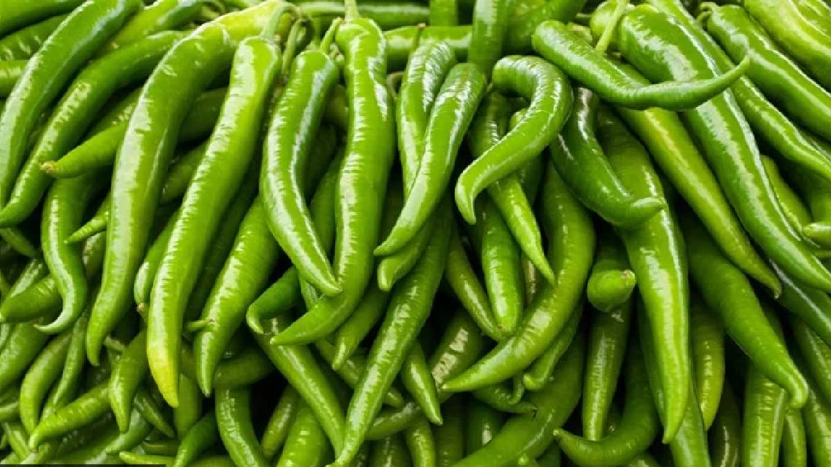 Chilli prices remain stable despite surplus stocks due to low demand in ...