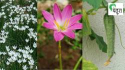 निसर्गलिपी : बदलाची चाहूल