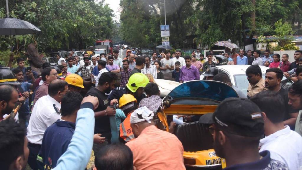 A day after Kalyan tragedy tree falls on rickshaw in thane killed one passenger
