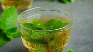 pudina juice help cleanse the stomach