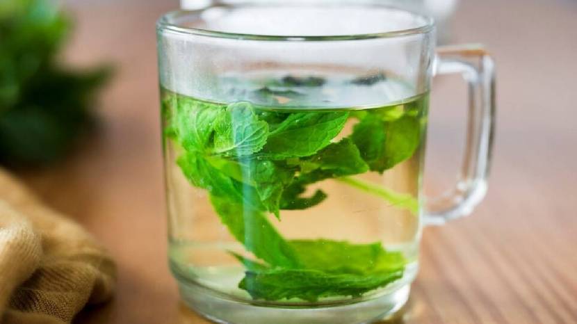 benefits of pudina juice