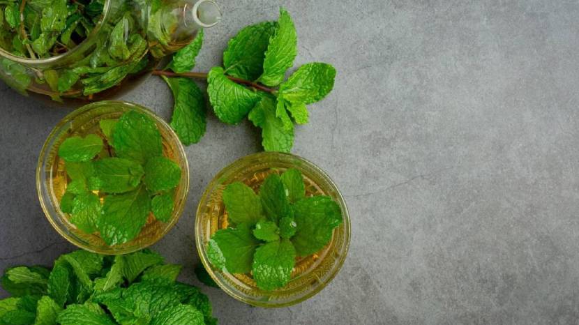 benefits of pudina juice