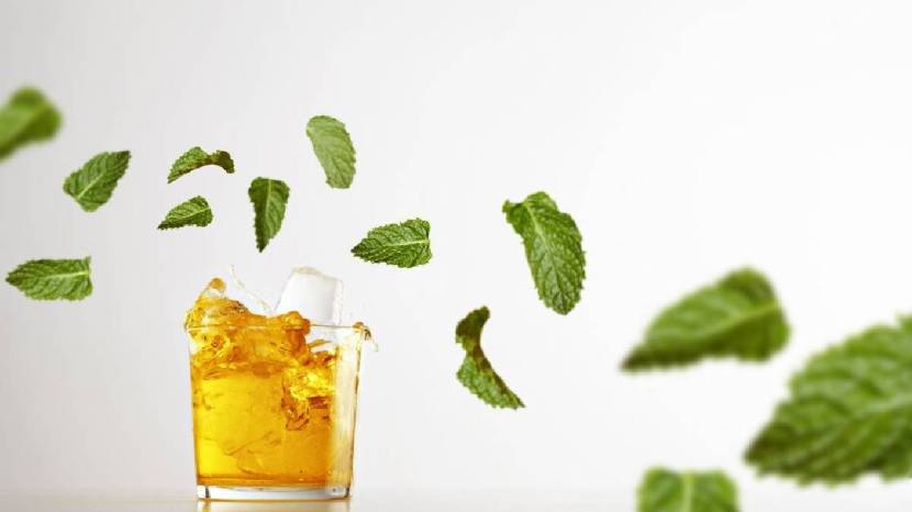 benefits of pudina juice