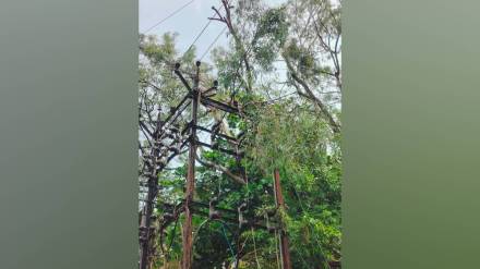Nashik, rain , power system, damage , loksatta news,
