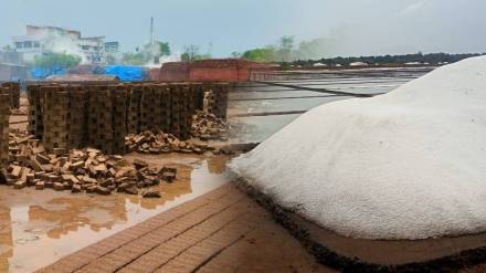 Salt industry palghar news