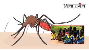 Africa malaria