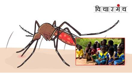 Africa malaria