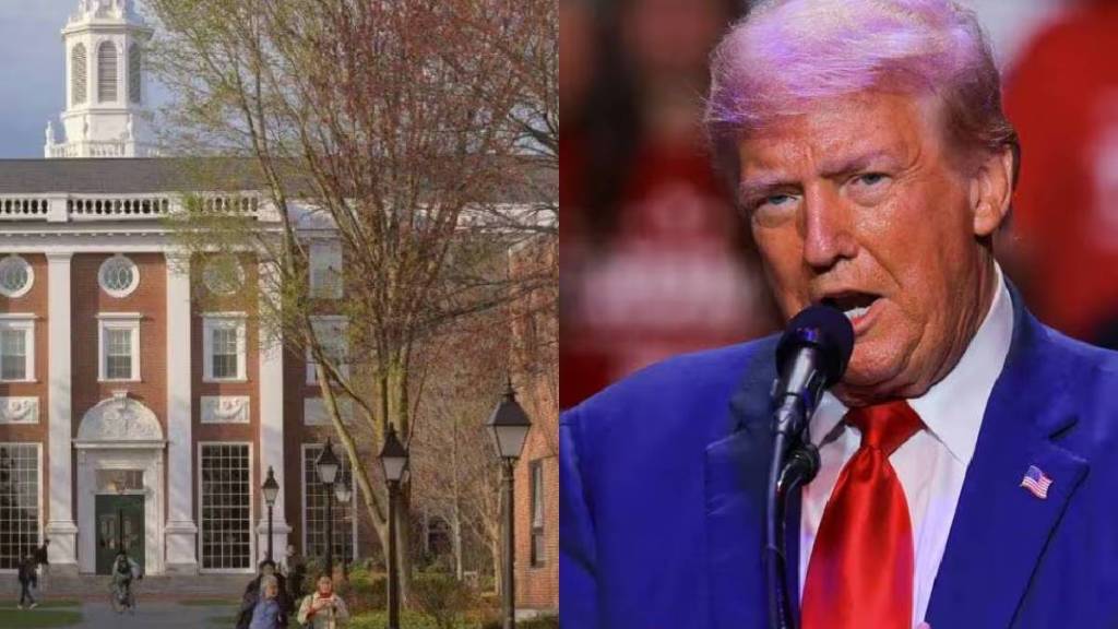Donald Trump On Harvard University