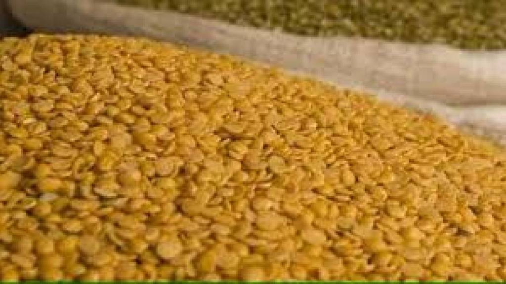 tur procurement in state stalls as farmers show poor response for 100 days