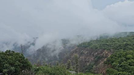 mahabaleshwar first rain brought misty beauty tourists joyfully embraced the blooming green landscape