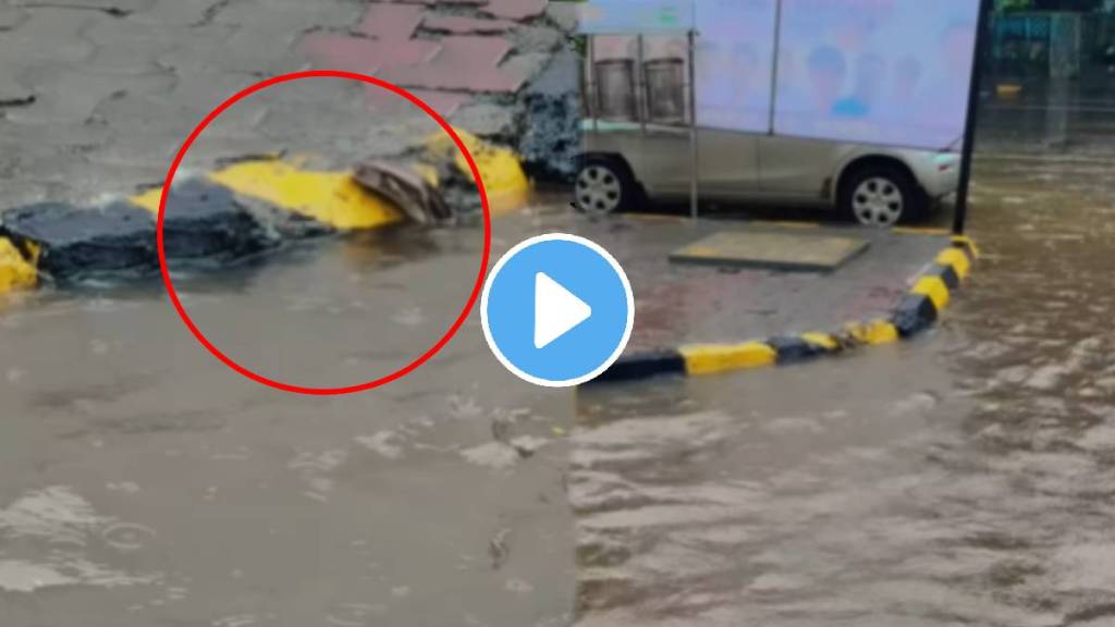 Navi mumbai viral video of snake found in rain water on road shocking video goes viral Navi mumbai viral video of snake found in rain water on road shocking video goes viral