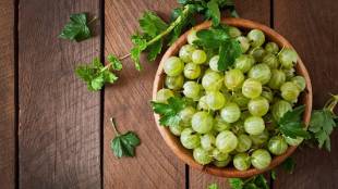 What Happens When You Eat Amla Daily On An Empty Stomach Benefits Of Eating Amla Daily