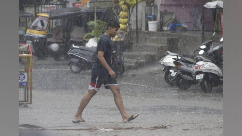 pune heavy rains caused tree falls at five spots firefighters cleared branches and restarted traffic