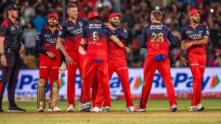 royal challengers bengalur