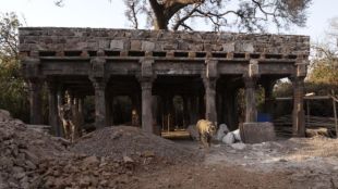 Tigress at Ranthambhore responsible for fatal attack on forest ranger