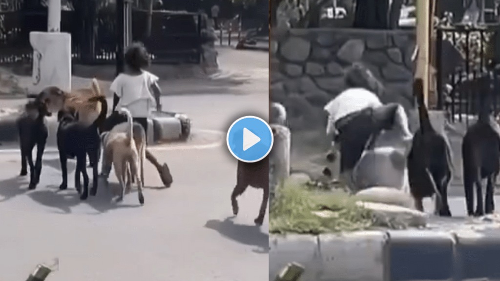 Real Z Plus Security Video Of Young Girl Riding On Dog Real Z Plus Security Video Of Young Girl Riding On Dog