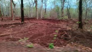 Road work is underway in the Madnapur buffer area of the Palasgaon forest area of the Tiger Reserve
