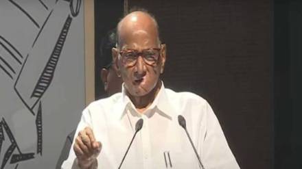 What Sharad Pawar Said?